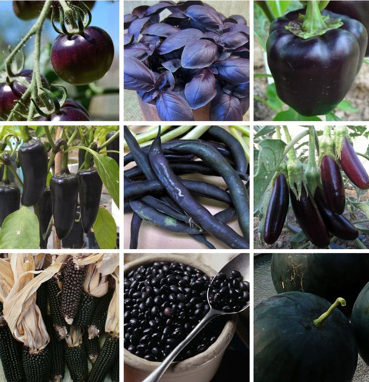 eating colorful fruits and vegetables — illustration 12 from Doug Jones' original Garden Island column