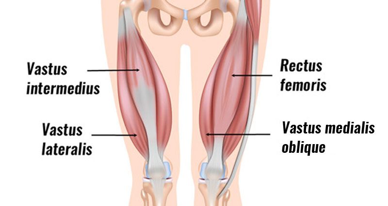 knee pain from muscle imbalance seniors — illustration 4 from Doug Jones' original Garden Island column