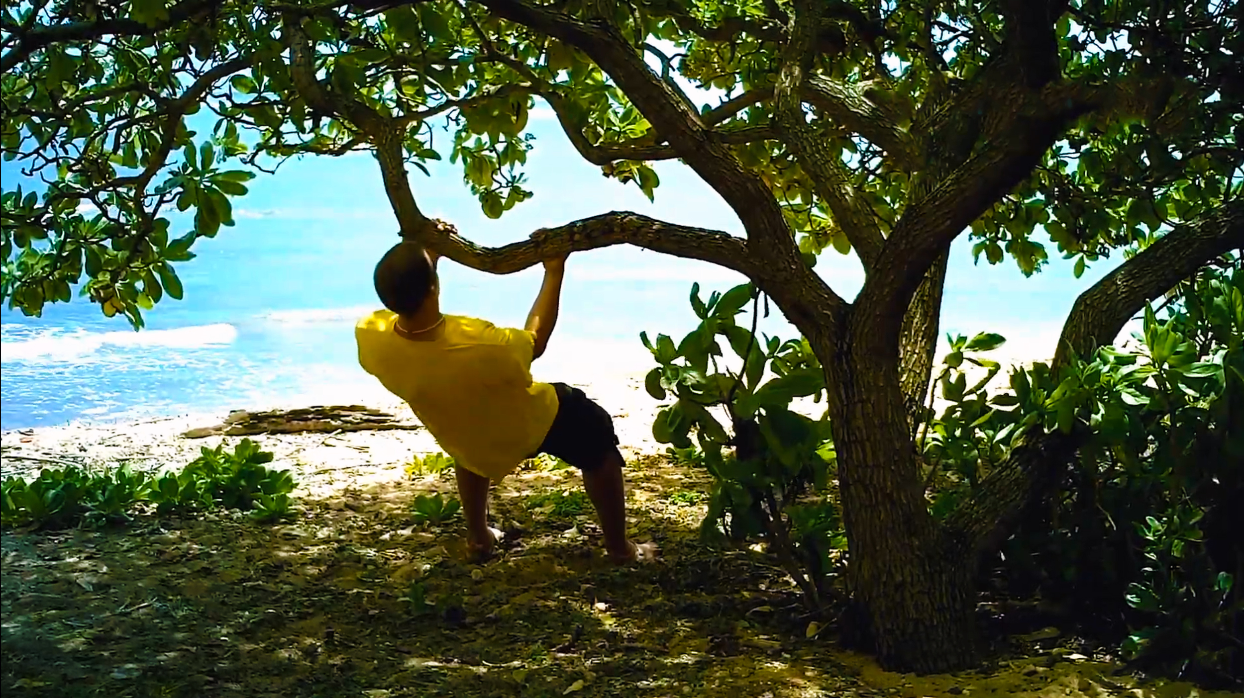 Doug Jones doing Tarzan chins on a tree branch at Kapaa Beach Park, Kauai